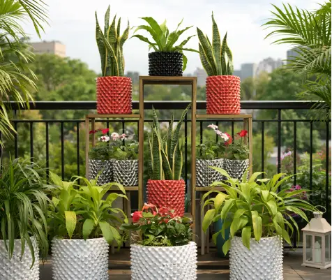 Balcony Gardens