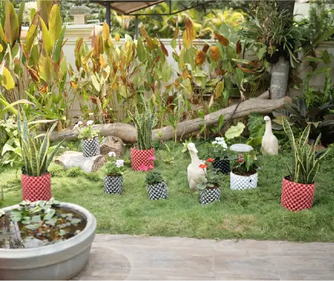 Kitchen Gardens