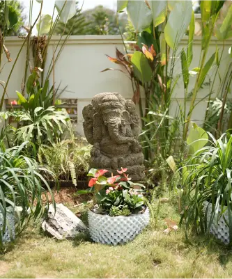 Sustainable Gardening