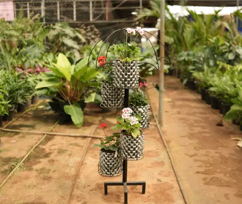 Terrace Patio Gardens