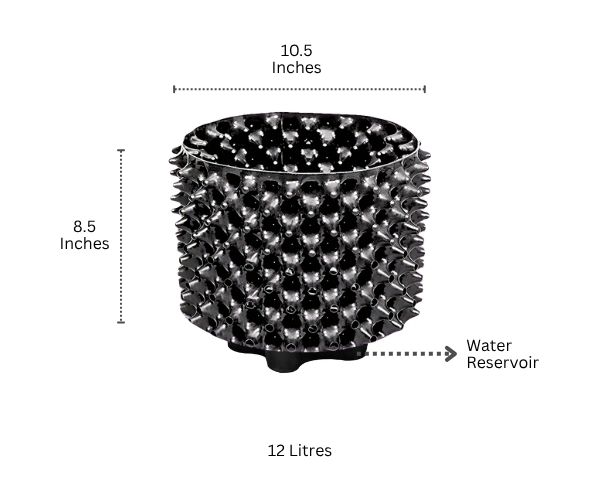 Products 41 1