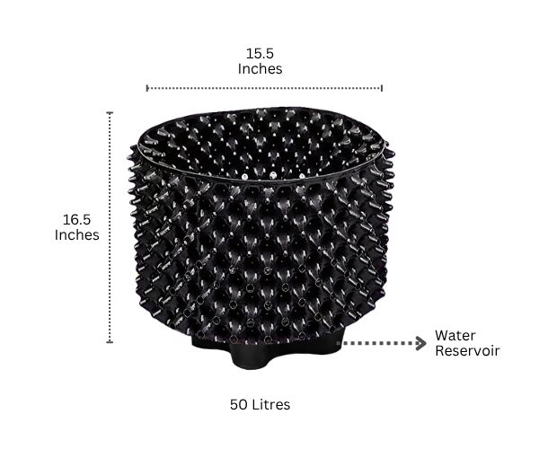 Products 61 1